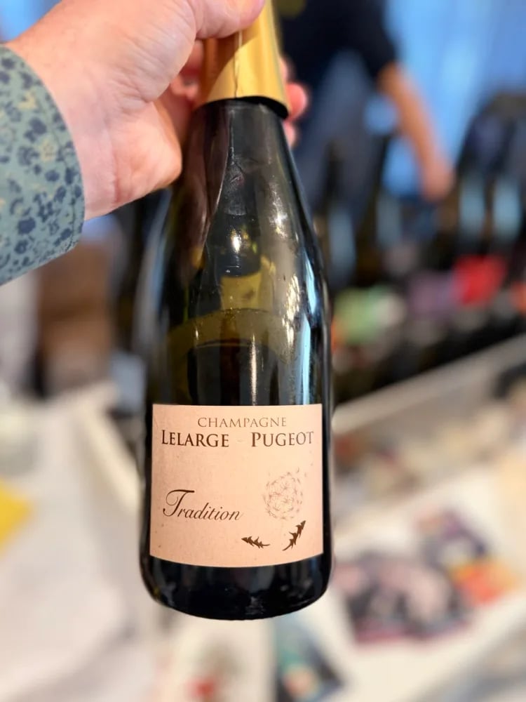 Terre Penchée 'Vieux Os' Côtes du Jura 2023, imported by Daxivin