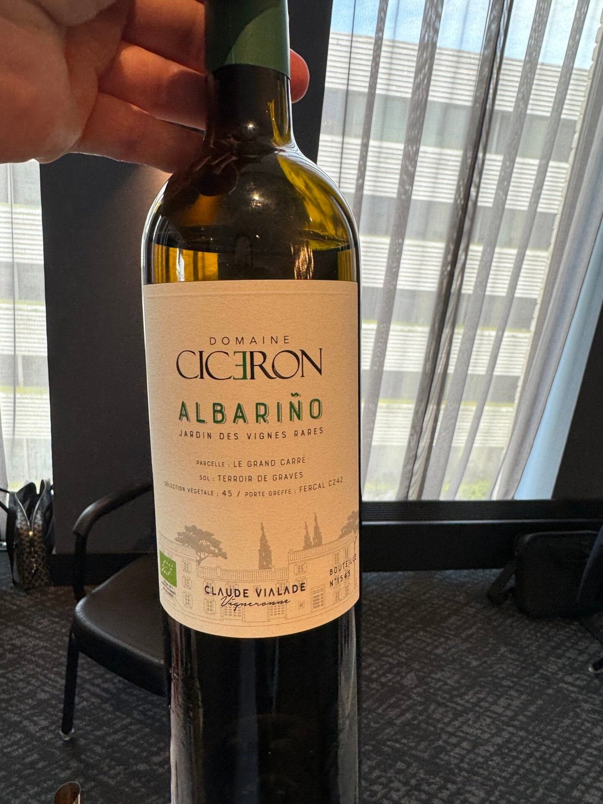 Hand holding a bottle of Domaine Cicéron Albariño white wine by a window