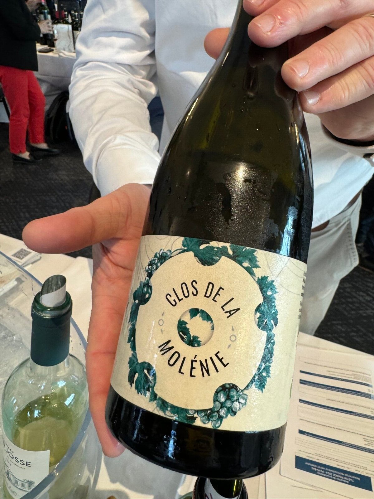 Hand holding a bottle of Clos de la Molénie white wine with a leafy circular label
