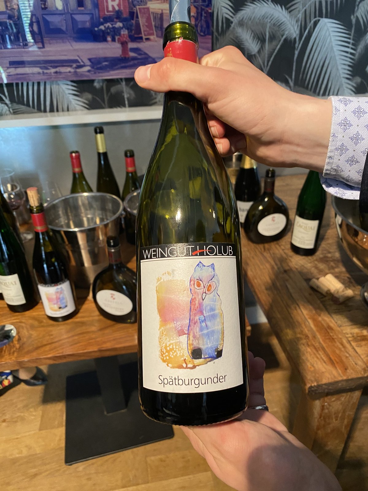 Hand holding a Weingut Holub Spätburgunder bottle with an owl-illustrated label, other bottles behind