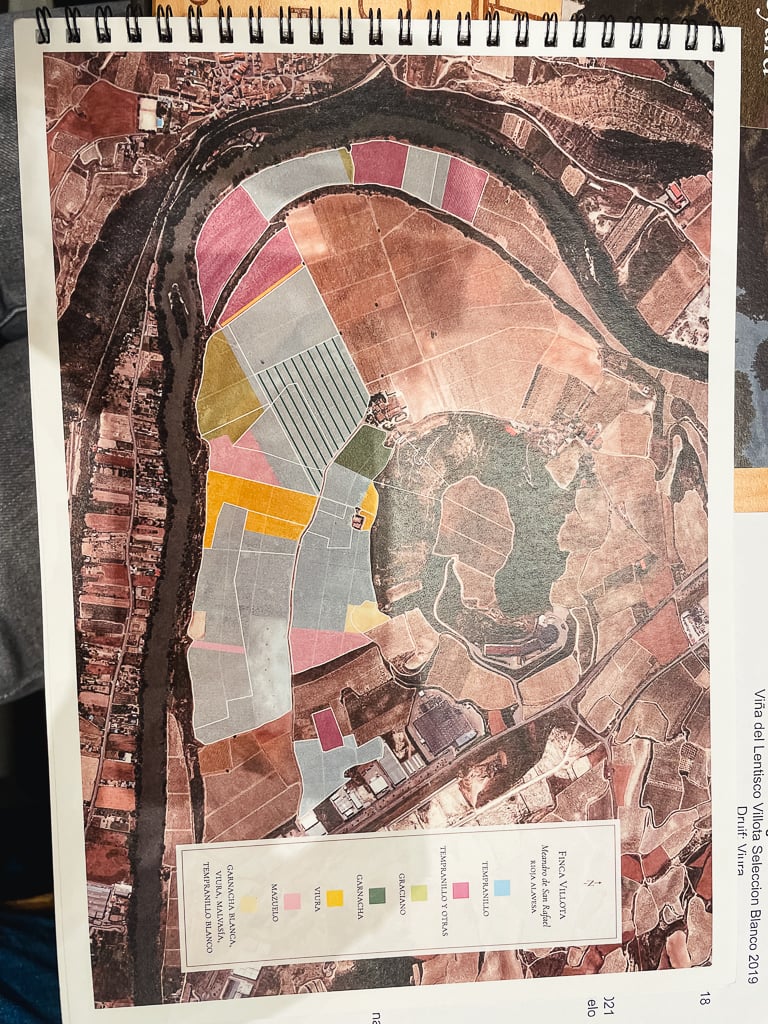 Aerial vineyard map of Villota's plots colour-coded by grape variety along the Ebro
