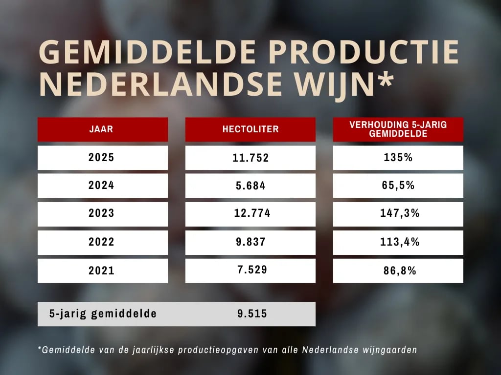 Average Dutch wine production per year since 2021, with hectolitres and the ratio to the five-year average.