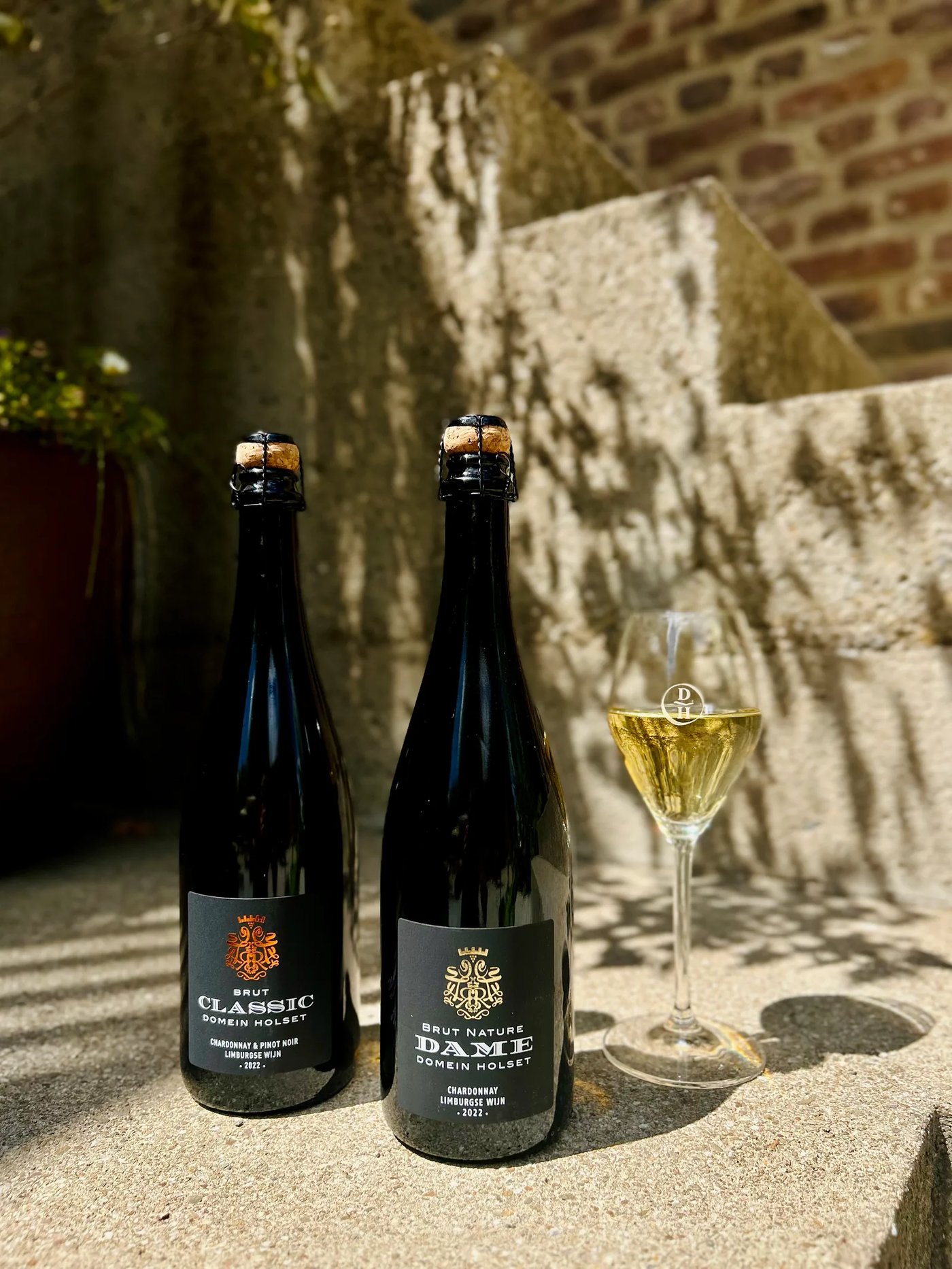 Bottles of Classic Brut and Dame Brut Nature from Domein Holset carrying PDO Mergelland, beside a glass of sparkling wine against a marl wall
