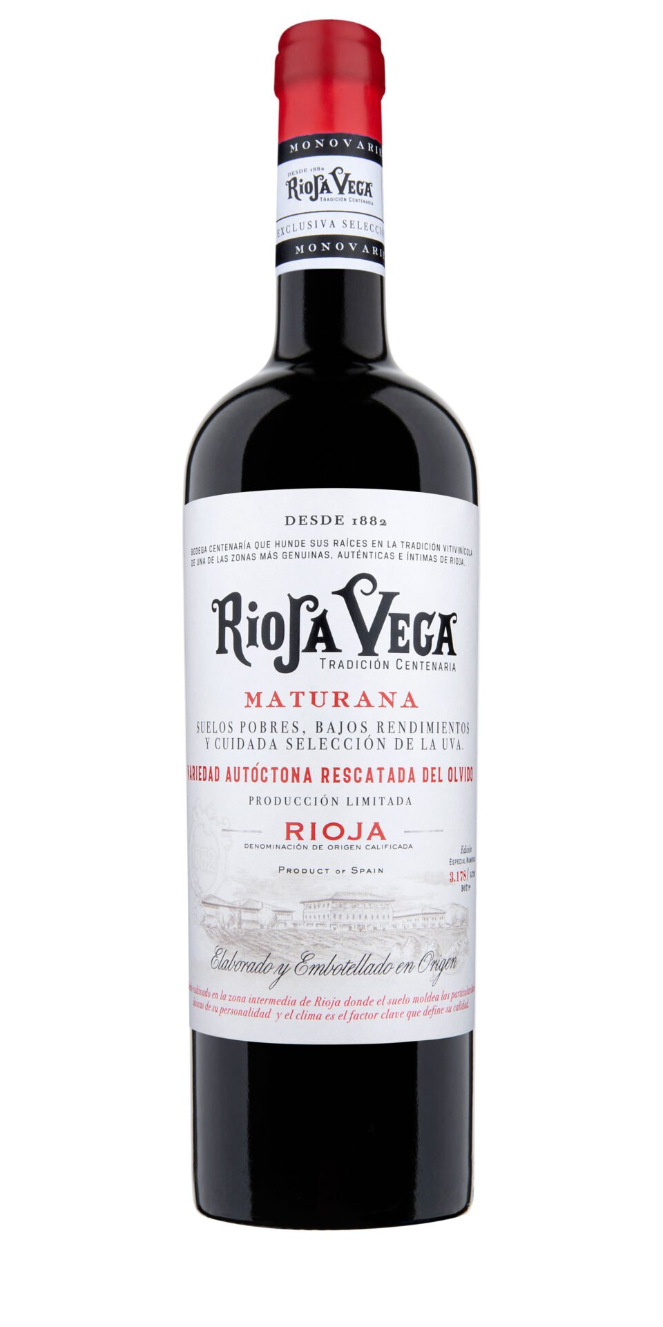 Vineyard in Rioja with old Maturana Tinta grapevines