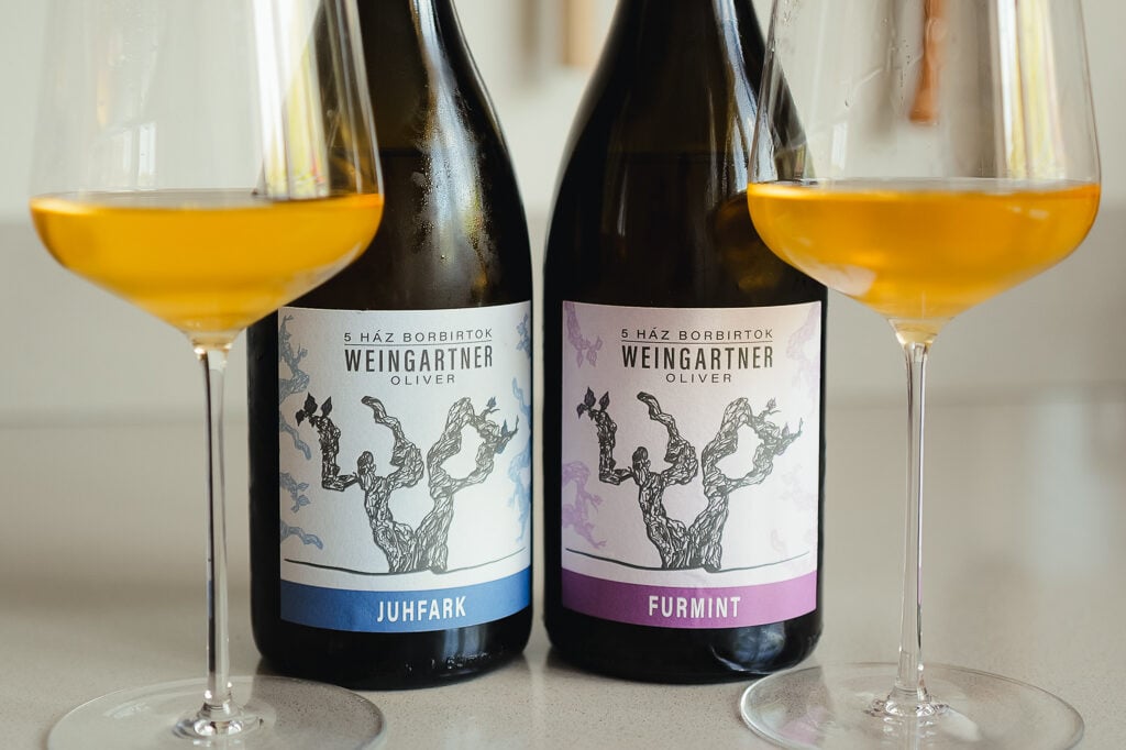 Oliver Weingartner: Hungary's Volcanic Wine Visionary