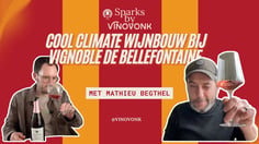 Mathieu Begthel on Winemaking in Wallonia