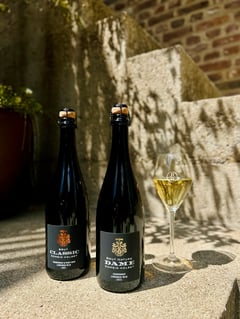 Bottles of Classic Brut and Dame Brut Nature from Domein Holset carrying PDO Mergelland, beside a glass of sparkling wine against a marl wall