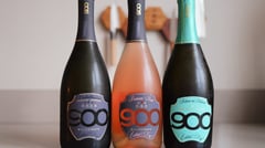 900wine Prosecco Comparison: Gran Cuvée, DOC Rosé or DOCG Valdobbiadene?