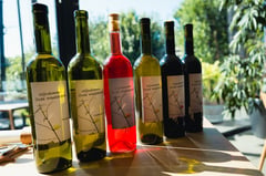 Winemaker's Lunch at de Dyck: Wijndomein Oude Waalstroom