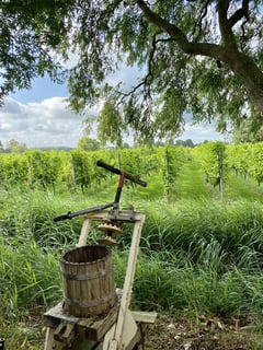 Bottle of Amsteltuin Brut Johannes I 2021 Dutch sparkling wine from Amstelveen
