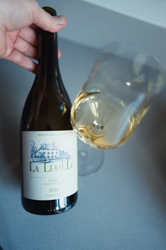Affordable Burgundy bottles from independent winemakers