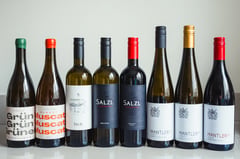 Austrian Wines: A Journey with Puur Oostenrijk