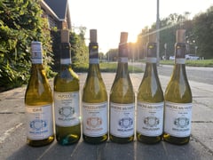 Bottles of Brigaldara Soave, Valpolicella and Amarone, family winery from Veneto, Italy