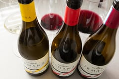 Three bottles of Irmàna Organic Line by Corvo Sicilian organic wines