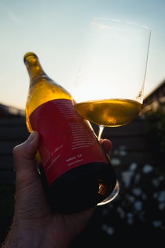 Bottle of Solaris 2022 organic wine on a table