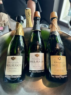 Multiple grower champagnes from Vignerons du Terroir on a tasting table