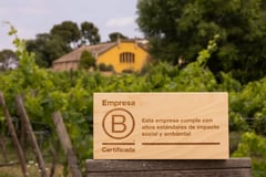 Wooden B Corp plaque belonging to Familia Torres in front of the vineyards and the yellow family bodega in Penedès, Spain