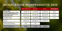 Data table of Dutch wine production in 2025 with litres per quality category and estimated bottle count, in dark green and burgundy.