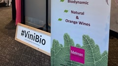 Entrance hall of ViniBio 2026 with twin ViniBio banners and first tables