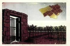 Brutalist illustration of an open iron gate in a burgundy stone wall, rows of vines beyond it and a cracked gold parcel map floating in the sky.