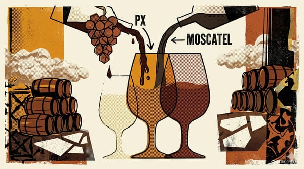 Editorial brutalist illustration of three copita glasses in a gradient from pale gold to amber to mahogany, with halftone dots and oxidised gold, on a cream background