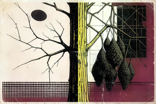 Split grapevine trunk, bare branches on the left, heavy bunches on the right
