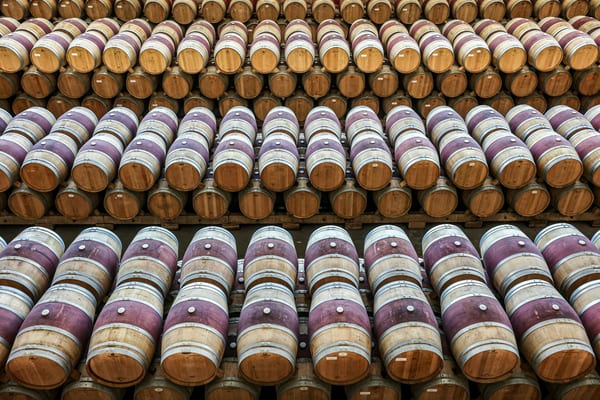 Rioja wijngaard met oude wijnstokken