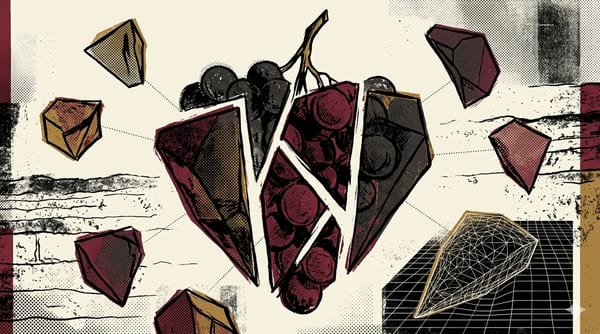 Negen druivenrassen van Champagne in brutalist illustratie, dwarsdoorsnede van een tros